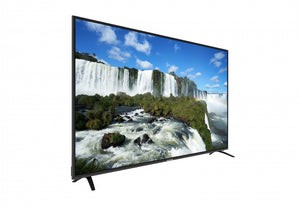 Sceptre 65" Class 4K UHD LED TV for pets.